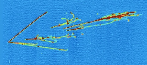 Particle tracks created by a neutrino interaction in liquid argon in the Argon Neutrino Test project (ArgoNeuT).